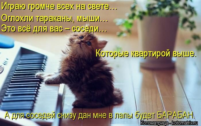 Играю громче всех на свете… Оглохли тараканы, мыши… Это всё для вас – соседи… Которые квартирой выше.... Котоматрица: Играю громче всех на свете… Оглохли тараканы, мыши… Это всё для вас – соседи… Которые квартирой выше. А для соседей снизу дан мне в лапы б