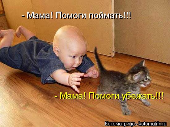 - Мама! Помоги убежать!!! - Мама! Помоги поймать!!!... Котоматрица: - Мама! Помоги убежать!!! - Мама! Помоги поймать!!!