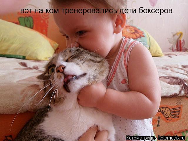 вот на ком тренеровались дети боксеров... Котоматрица: вот на ком тренеровались дети боксеров