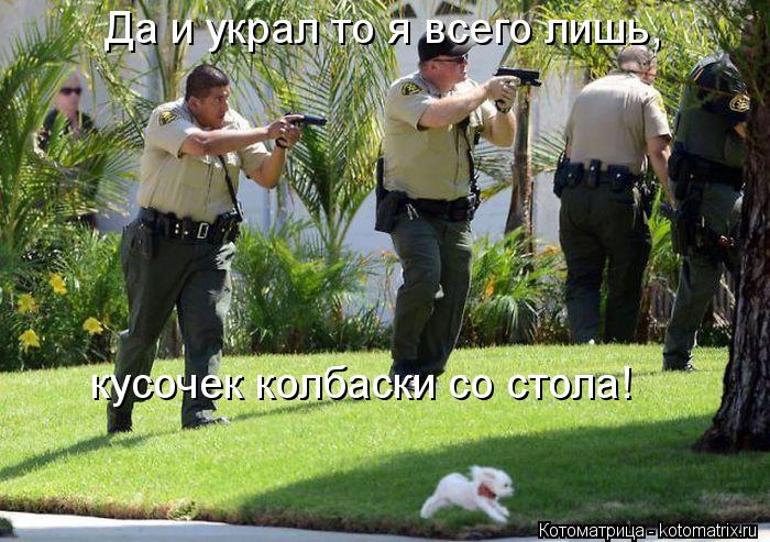 Да и украл то я всего лишь, кусочек колбаски со стола!... Котоматрица: Да и украл то я всего лишь, кусочек колбаски со стола!