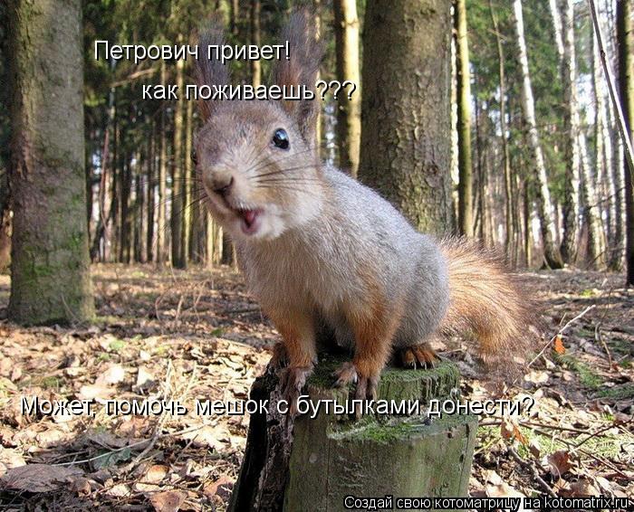 Петрович привет! как поживаешь??? Может, помочь мешок с бутылками донести?... Котоматрица: Петрович привет! как поживаешь??? Может, помочь мешок с бутылками донести?