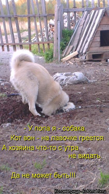 - У попа я - собака. Кот вон - на лавочке греется. А хозяина что-то с утра не видать. Да не может бы... Котоматрица: - У попа я - собака. Кот вон - на лавочке греется. А хозяина что-то с утра не видать. Да не может быть!!!