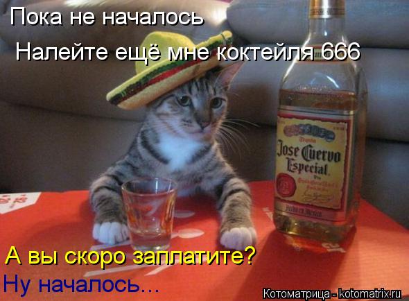Пока не началось Налейте ещё мне коктейля 666 А вы скоро заплатите? Ну началось...... Котоматрица: Пока не началось Налейте ещё мне коктейля 666 А вы скоро заплатите? Ну началось...