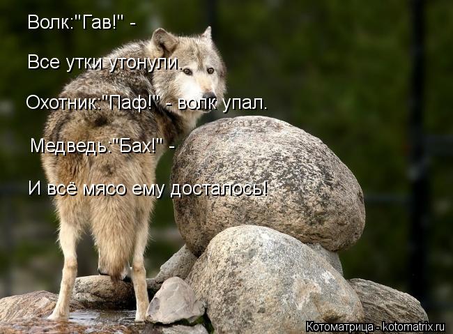 Волк:"Гав!" - Все утки утонули. Охотник:"Паф!" - волк упал. Медведь:"Бах!" - И всё мясо ему досталос... Котоматрица: Волк:"Гав!" - Все утки утонули. Охотник:"Паф!" - волк упал. Медведь:"Бах!" - И всё мясо ему досталось!