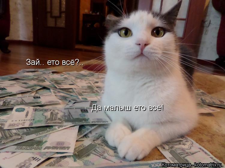 Зай.. ето всё?.. Да малыш ето всё! Да как ты посмл..? Где всё остальное?!! Да как ты посмел..? Где вс... Котоматрица: Зай.. ето всё?.. Да малыш ето всё! Да как ты посмл..? Где всё остальное?!! Да как ты посмел..? Где всё остальное?!!