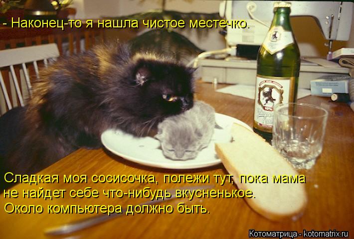 - Наконец-то я нашла чистое местечко. Сладкая моя сосисочка, полежи тут, пока мама не найдет себе что... Котоматрица: - Наконец-то я нашла чистое местечко. Сладкая моя сосисочка, полежи тут, пока мама не найдет себе что-нибудь вкусненькое. Около компьютера до