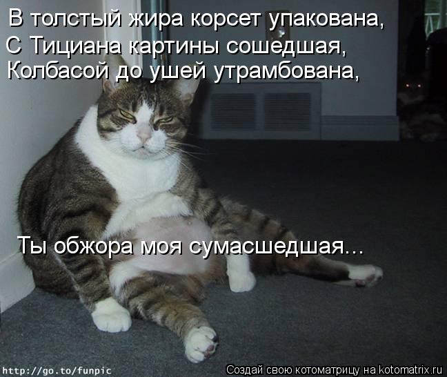 Котоматрица: В толстый жира корсет упакована,  С Тициана картины сошедшая,  Колбасой до ушей утрамбована,  Ты обжора моя сумасшедшая...