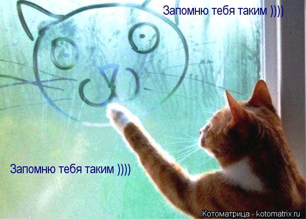 Запомню тебя таким )))) Запомню тебя таким ))))... Котоматрица: Запомню тебя таким )))) Запомню тебя таким ))))