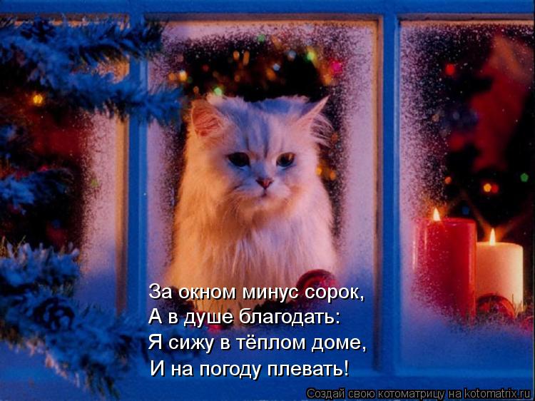 За окном минус сорок, Я сижу в тёплом доме, А в душе благодать: И на погоду плевать!... Котоматрица: За окном минус сорок, Я сижу в тёплом доме, А в душе благодать: И на погоду плевать!