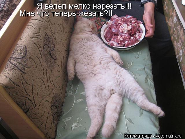Я велел мелко нарезать!!! Мне что теперь-жевать?!!... Котоматрица: Я велел мелко нарезать!!! Мне что теперь-жевать?!!