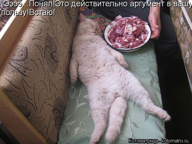 -Ээээ...Понял!Это действительно аргумент в вашу пользу!Встаю!... Котоматрица: -Ээээ...Понял!Это действительно аргумент в вашу пользу!Встаю!