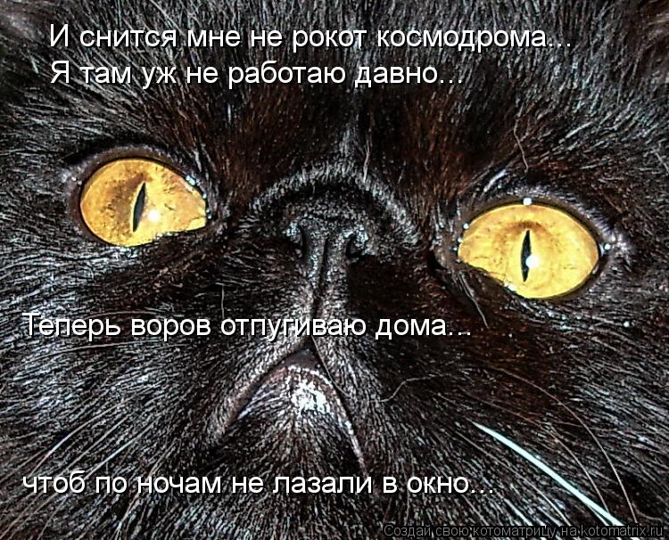 И снится мне не рокот космодрома... Я там уж не работаю давно... Теперь воров отпугиваю дома... чтоб ... Котоматрица: И снится мне не рокот космодрома... Я там уж не работаю давно... Теперь воров отпугиваю дома... чтоб по ночам не лазали в окно...