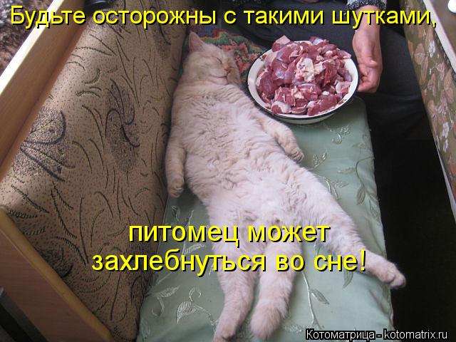 Будьте осторожны с такими шутками, питомец может захлебнуться во сне!... Котоматрица: Будьте осторожны с такими шутками, питомец может захлебнуться во сне!