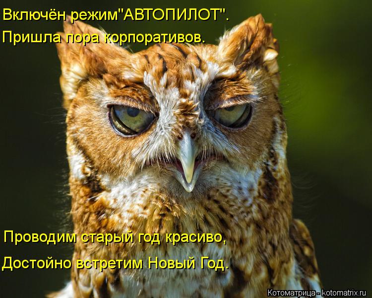 Включён режим"АВТОПИЛОТ". Пришла пора корпоративов. Проводим старый год красиво, Достойно встретим Но... Котоматрица: Включён режим"АВТОПИЛОТ". Пришла пора корпоративов. Проводим старый год красиво, Достойно встретим Новый Год.
