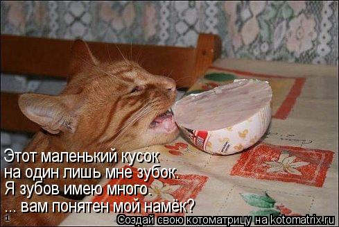 Этот маленький кусок на один лишь мне зубок. Я зубов имею много. ... вам понятен мой намёк?... Котоматрица: Этот маленький кусок на один лишь мне зубок. Я зубов имею много. ... вам понятен мой намёк?