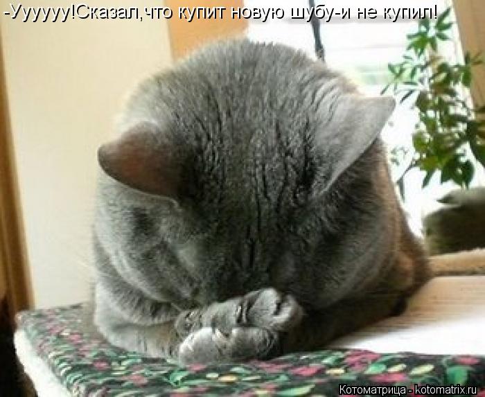 -Уууууу!Сказал,что купит новую шубу-и не купил!... Котоматрица: -Уууууу!Сказал,что купит новую шубу-и не купил!