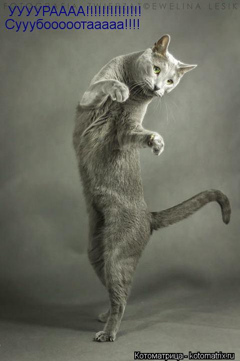 УУУУРАААА!!!!!!!!!!!!!! Сууубооооотааааа!!!!... Котоматрица: УУУУРАААА!!!!!!!!!!!!!! Сууубооооотааааа!!!!