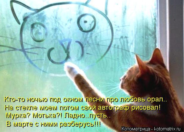 Кто-то ночью под окном песни про любовь орал.. На стекле моем потом свой автограф рисовал! Мурка? Мот... Котоматрица: Кто-то ночью под окном песни про любовь орал.. На стекле моем потом свой автограф рисовал! Мурка? Мотька?! Ладно..пусть.. В марте с ними разберу