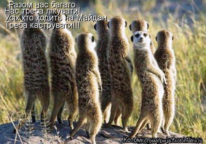 Разом нас багато Нас треба лікувати! Усіх хто ходить на Майдан Треба каструвати!!!... Котоматрица: Разом нас багато Нас треба лікувати! Усіх хто ходить на Майдан Треба каструвати!!!