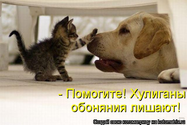 - Помогите! Хулиганы обоняния лишают!... Котоматрица: - Помогите! Хулиганы обоняния лишают!