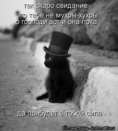 так скоро свидание это тебе не мухры-хухры о господи вот и она пока да прибудет с тобой сила... Котоматрица: так скоро свидание это тебе не мухры-хухры о господи вот и она пока да прибудет с тобой сила