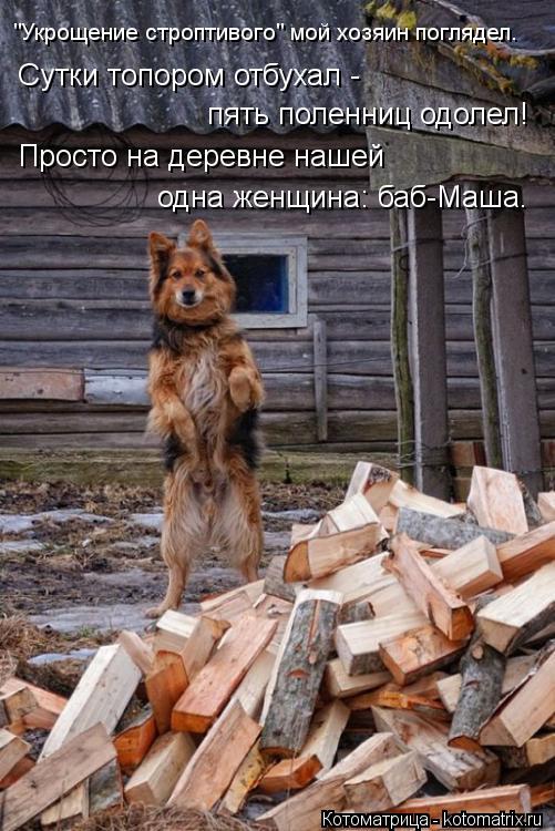 "Укрощение строптивого" мой хозяин поглядел. Сутки топором отбухал - пять поленниц одолел! Просто на... Котоматрица: "Укрощение строптивого" мой хозяин поглядел. Сутки топором отбухал - пять поленниц одолел! Просто на деревне нашей одна женщина: баб-Маша.