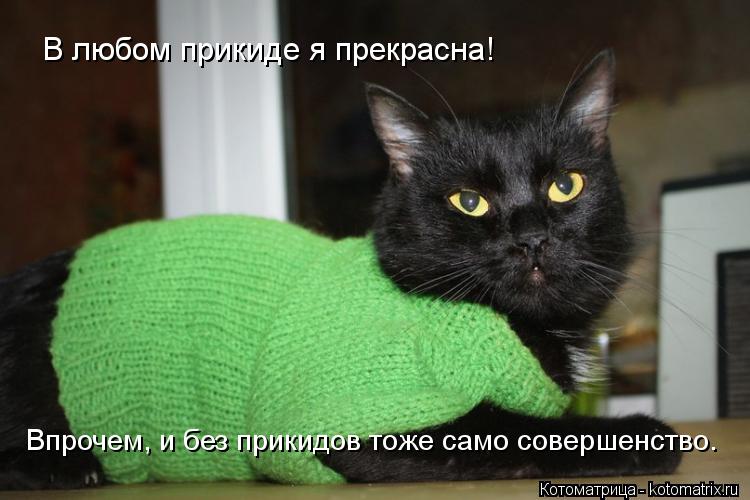 В любом прикиде я прекрасна! Впрочем, и без прикидов тоже само совершенство.... Котоматрица: В любом прикиде я прекрасна! Впрочем, и без прикидов тоже само совершенство.