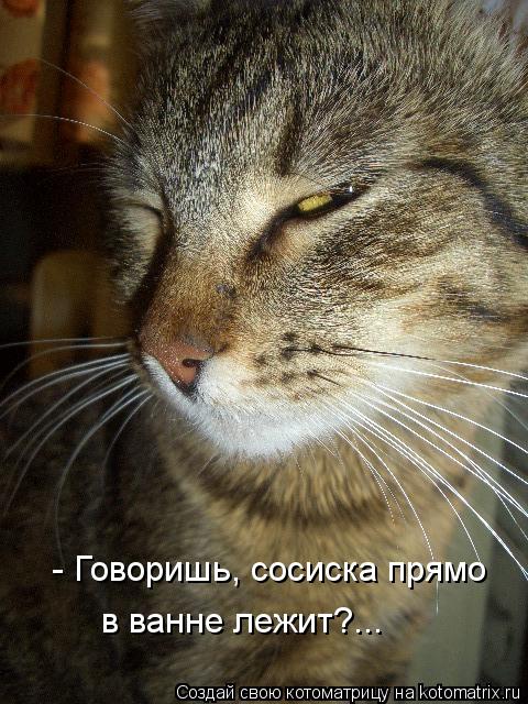 - Говоришь, сосиска прямо в ванне лежит?...... Котоматрица: - Говоришь, сосиска прямо в ванне лежит?...