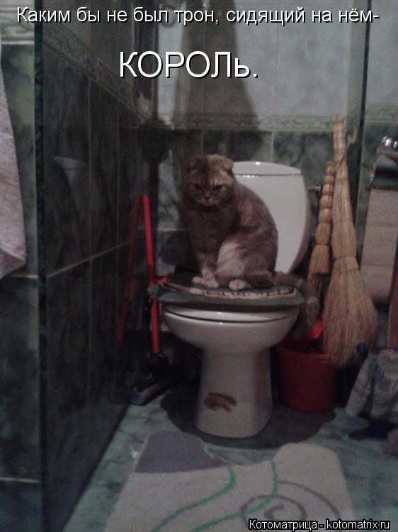 Каким бы не был трон, сидящий на нём- КОРОЛь.... Котоматрица: Каким бы не был трон, сидящий на нём- КОРОЛь.