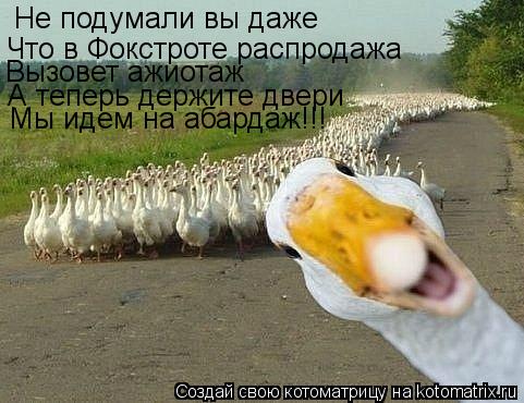 Что в Фокстроте распродажа Вызовет ажиотаж А теперь держите двери Не подумали вы даже Мы идем на абар... Котоматрица: Что в Фокстроте распродажа Вызовет ажиотаж А теперь держите двери Не подумали вы даже Мы идем на абардаж!!!