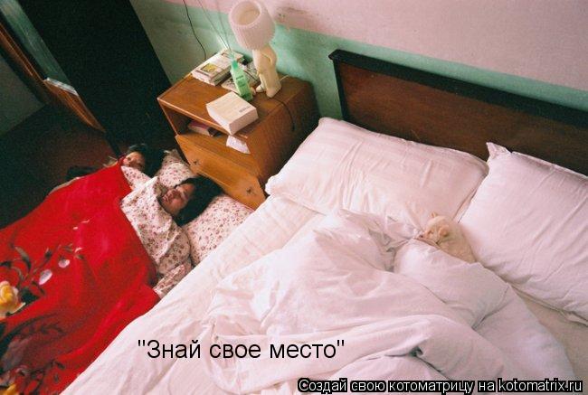 "Знай свое место"... Котоматрица: "Знай свое место"