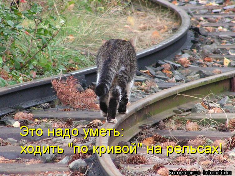 Это надо уметь: ходить "по кривой" на рельсах!... Котоматрица: Это надо уметь: ходить "по кривой" на рельсах!