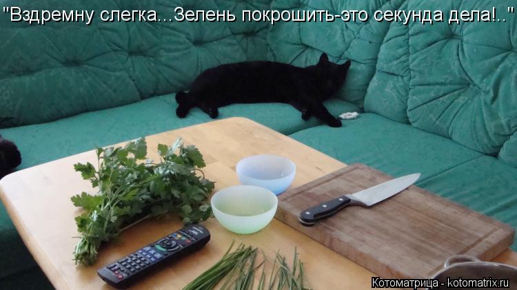 "Вздремну слегка...Зелень покрошить-это секунда дела!.."... Котоматрица: "Вздремну слегка...Зелень покрошить-это секунда дела!.."