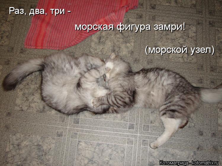 Раз, два, три - морская фигура замри! (морской узел)... Котоматрица: Раз, два, три - морская фигура замри! (морской узел)