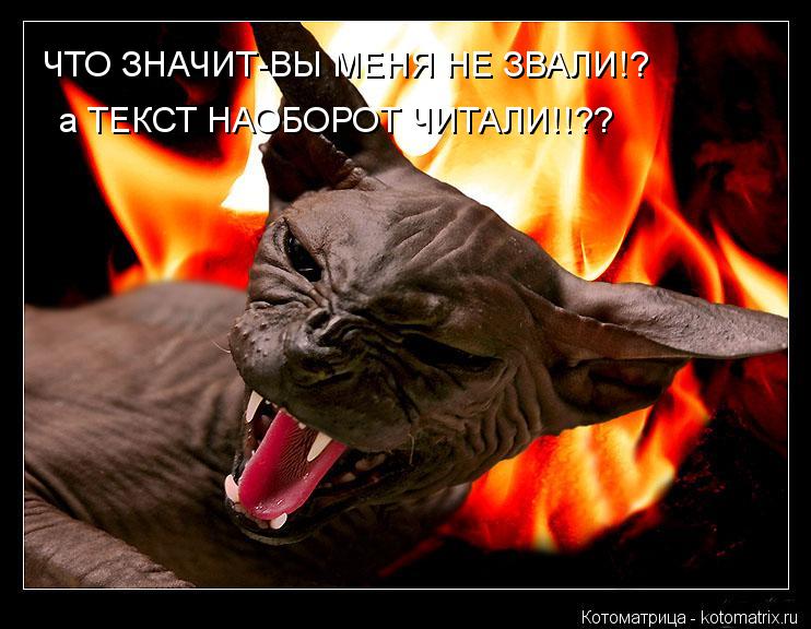 ЧТО ЗНАЧИТ-ВЫ МЕНЯ НЕ ЗВАЛИ!? а ТЕКСТ НАОБОРОТ ЧИТАЛИ!!??... Котоматрица: ЧТО ЗНАЧИТ-ВЫ МЕНЯ НЕ ЗВАЛИ!? а ТЕКСТ НАОБОРОТ ЧИТАЛИ!!??