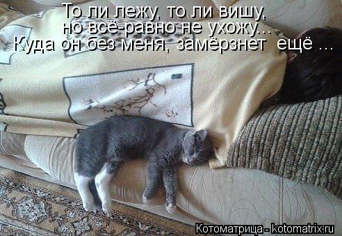 То ли лежу, то ли вишу, но всё-равно не ухожу... Куда он без меня, замёрзнет ещё ...... Котоматрица: То ли лежу, то ли вишу, но всё-равно не ухожу... Куда он без меня, замёрзнет ещё ...