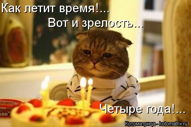 Как летит время!... Вот и зрелость... Четыре года!...... Котоматрица: Как летит время!... Вот и зрелость... Четыре года!...