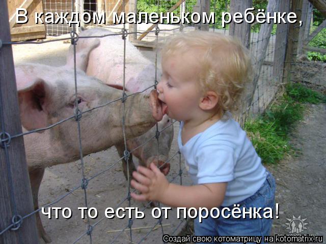 Котоматрица: В каждом маленьком ребёнке, что то есть от поросёнка!