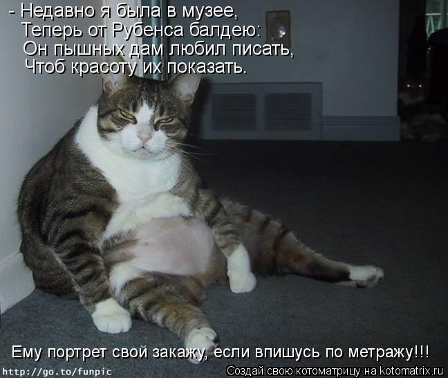 - Недавно я была в музее, Теперь от Рубенса балдею: Он пышных дам любил писать, Чтоб красоту их пока... Котоматрица: - Недавно я была в музее, Теперь от Рубенса балдею: Он пышных дам любил писать, Чтоб красоту их показать. Ему портрет свой закажу, если впишус