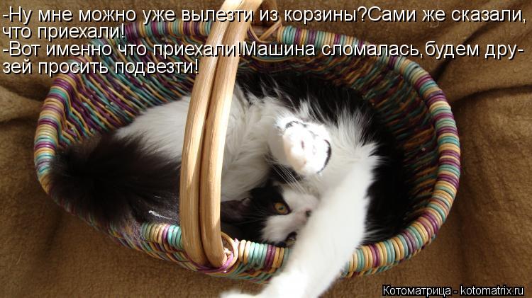 -Ну мне можно уже вылезти из корзины?Сами же сказали, что приехали! -Вот именно что приехали!Машина с... Котоматрица: -Ну мне можно уже вылезти из корзины?Сами же сказали, что приехали! -Вот именно что приехали!Машина сломалась,будем дру- зей просить подвезти