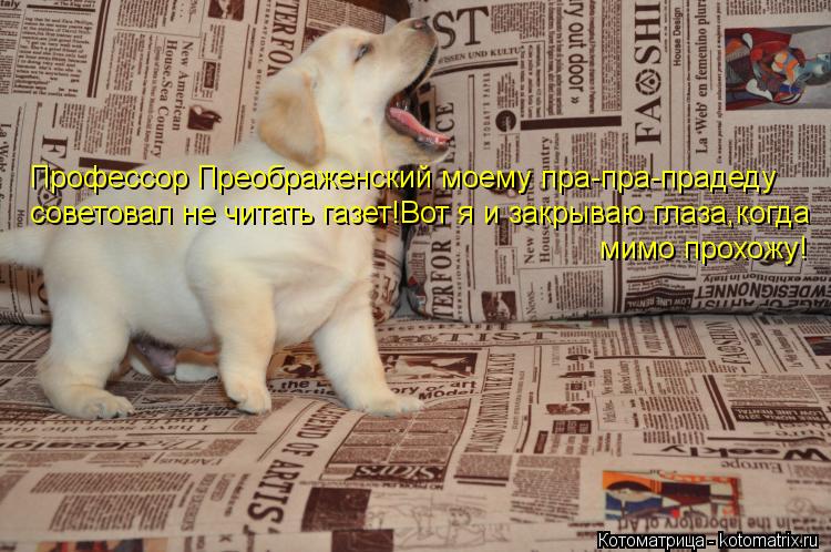Профессор Преображенский моему пра-пра-прадеду советовал не читать газет!Вот я и закрываю глаза,когда... Котоматрица: Профессор Преображенский моему пра-пра-прадеду советовал не читать газет!Вот я и закрываю глаза,когда мимо прохожу!