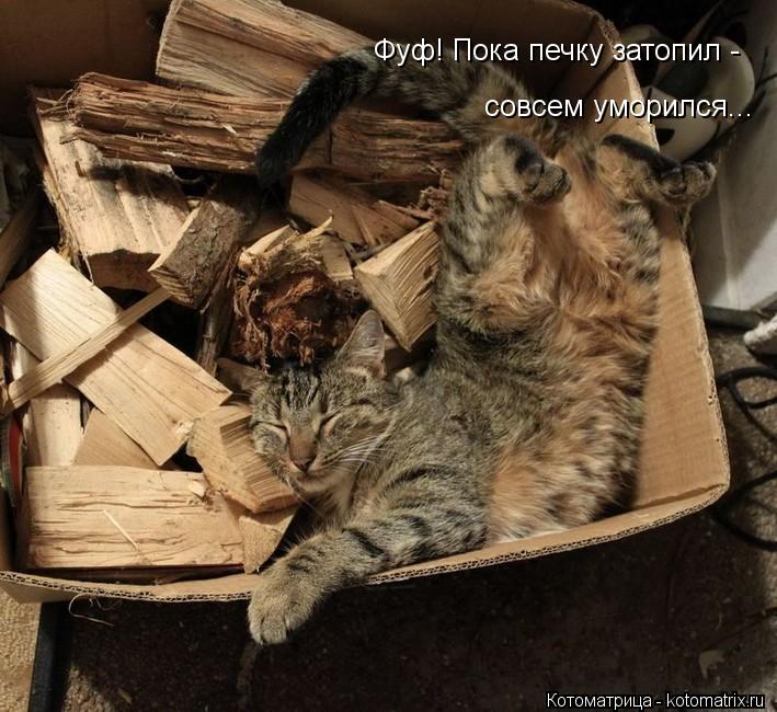 совсем уморился... Фуф! Пока печку затопил -... Котоматрица: совсем уморился... Фуф! Пока печку затопил -