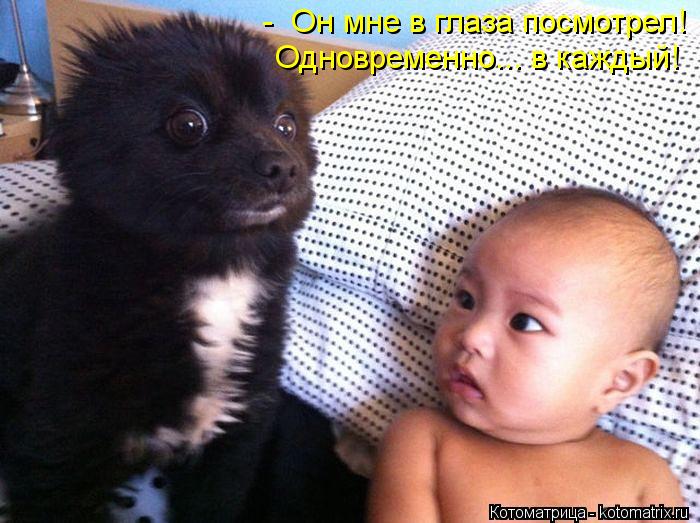 - Он мне в глаза посмотрел! Одновременно... в каждый!... Котоматрица: - Он мне в глаза посмотрел! Одновременно... в каждый!