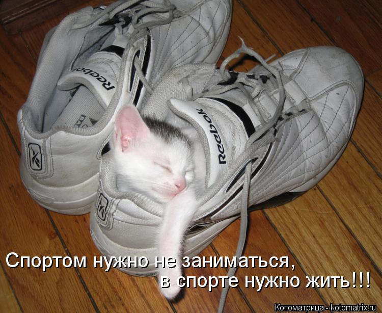 Спортом нужно не заниматься, в спорте нужно жить!!!... Котоматрица: Спортом нужно не заниматься, в спорте нужно жить!!!