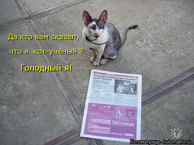Котоматрица: Да кто вам сказал, что я  кот-учёный ? Голодный я!