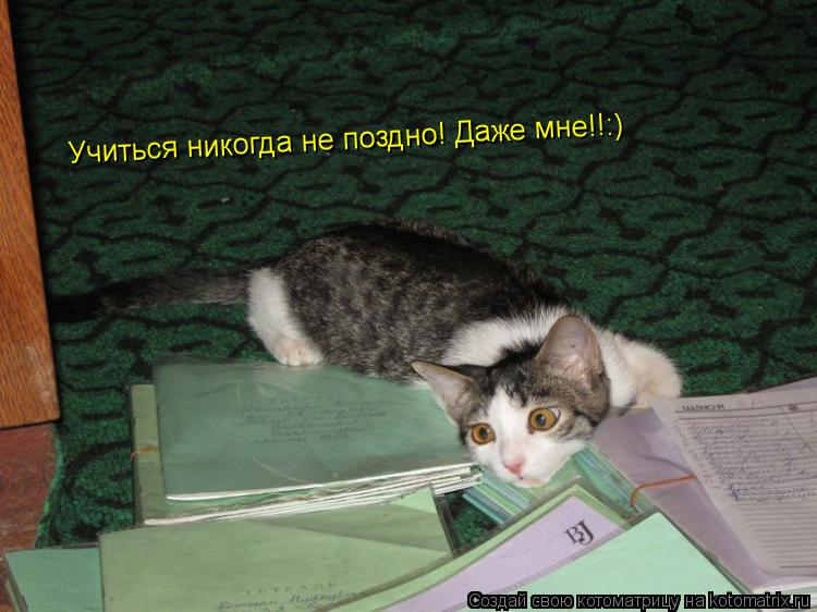Учиться никогда не поздно! Даже мне!!:)... Котоматрица: Учиться никогда не поздно! Даже мне!!:)