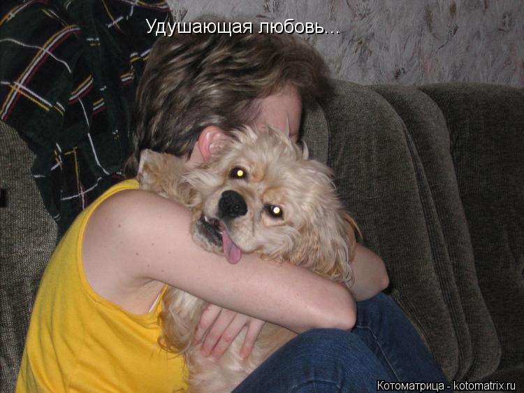 Котоматрица: Удушающая любовь...