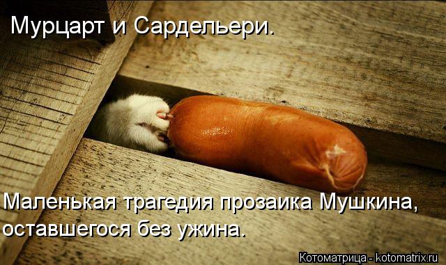 Мурцарт и Сардельери. Маленькая трагедия прозаика Мушкина, оставшегося без ужина.... Котоматрица: Мурцарт и Сардельери. Маленькая трагедия прозаика Мушкина, оставшегося без ужина.