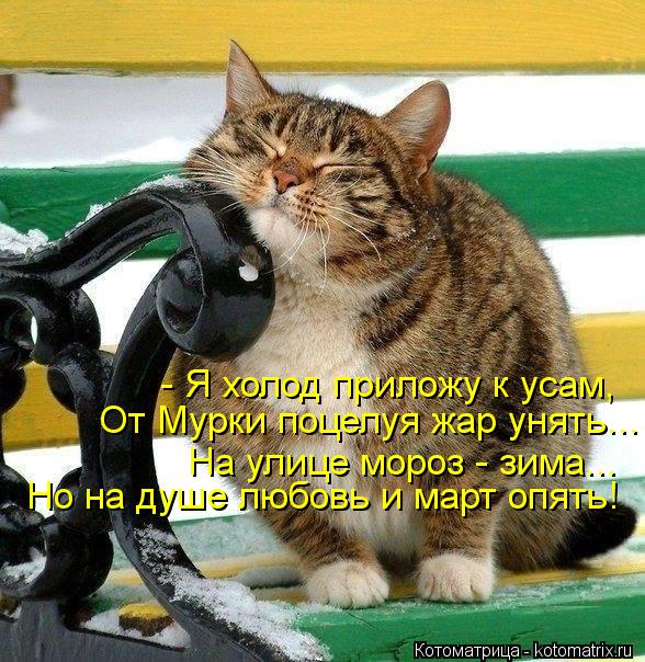 - Я холод приложу к усам, От Мурки поцелуя жар унять... На улице мороз - зима... Но на душе любовь и ... Котоматрица: - Я холод приложу к усам, От Мурки поцелуя жар унять... На улице мороз - зима... Но на душе любовь и март опять!