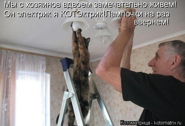 Котоматрица: Мы с хозяинов вдвоем замечательно живем! Он электрик я КОТЭктрик!Лампочки на раз ввернем!